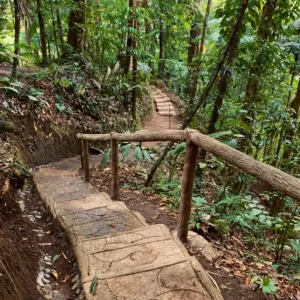 Sendero por el bosque lluvioso de Wellness Park Arenal