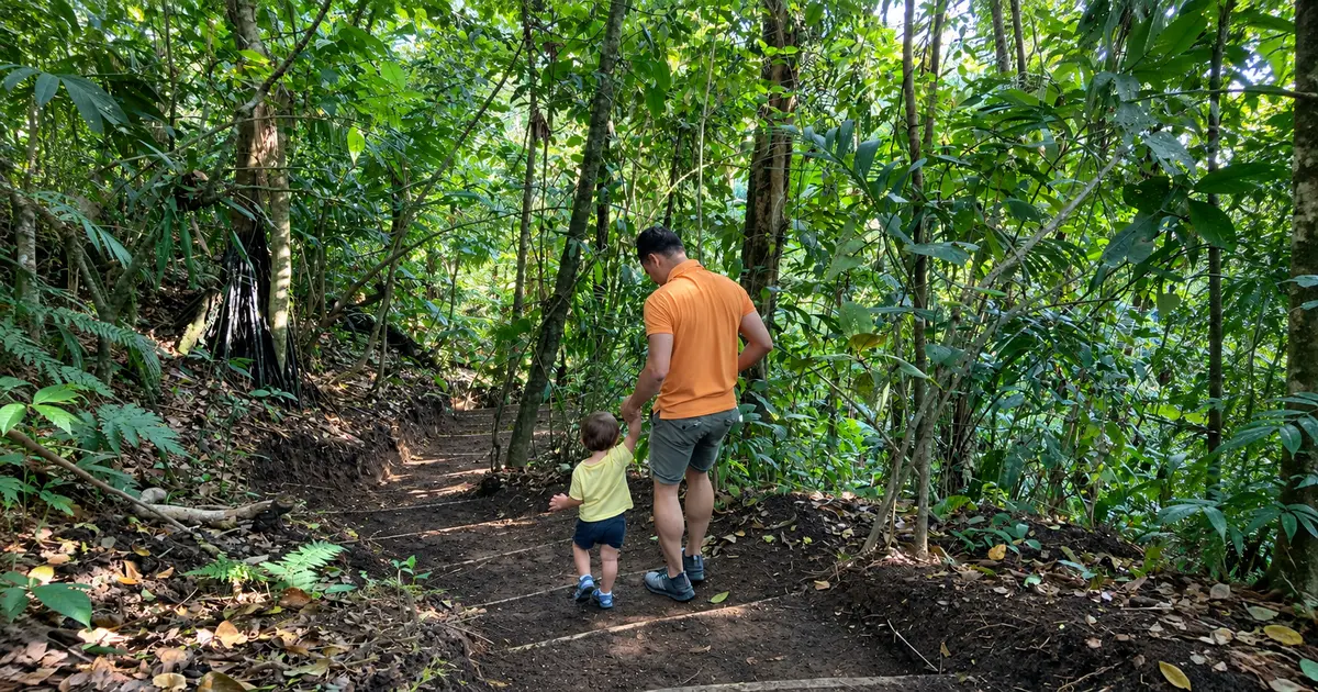 Caminata consciente en el bosque lluvioso de Arenal