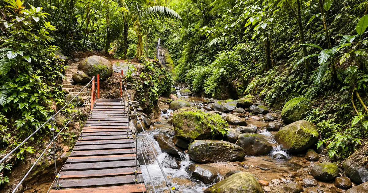 Experiencia guiada de caminata consciente en Arenal